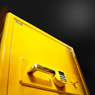 Сейф Burg-Wachter E 512 ES lak yellow Custom с типом замка:  Электронный + Биометрический + Ключевой