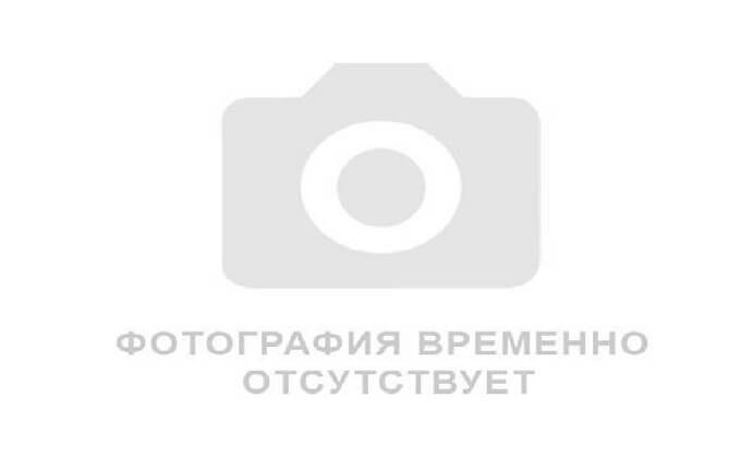 Сейф BIOINJECTOR SC21+42_VVS за 55855 рублей